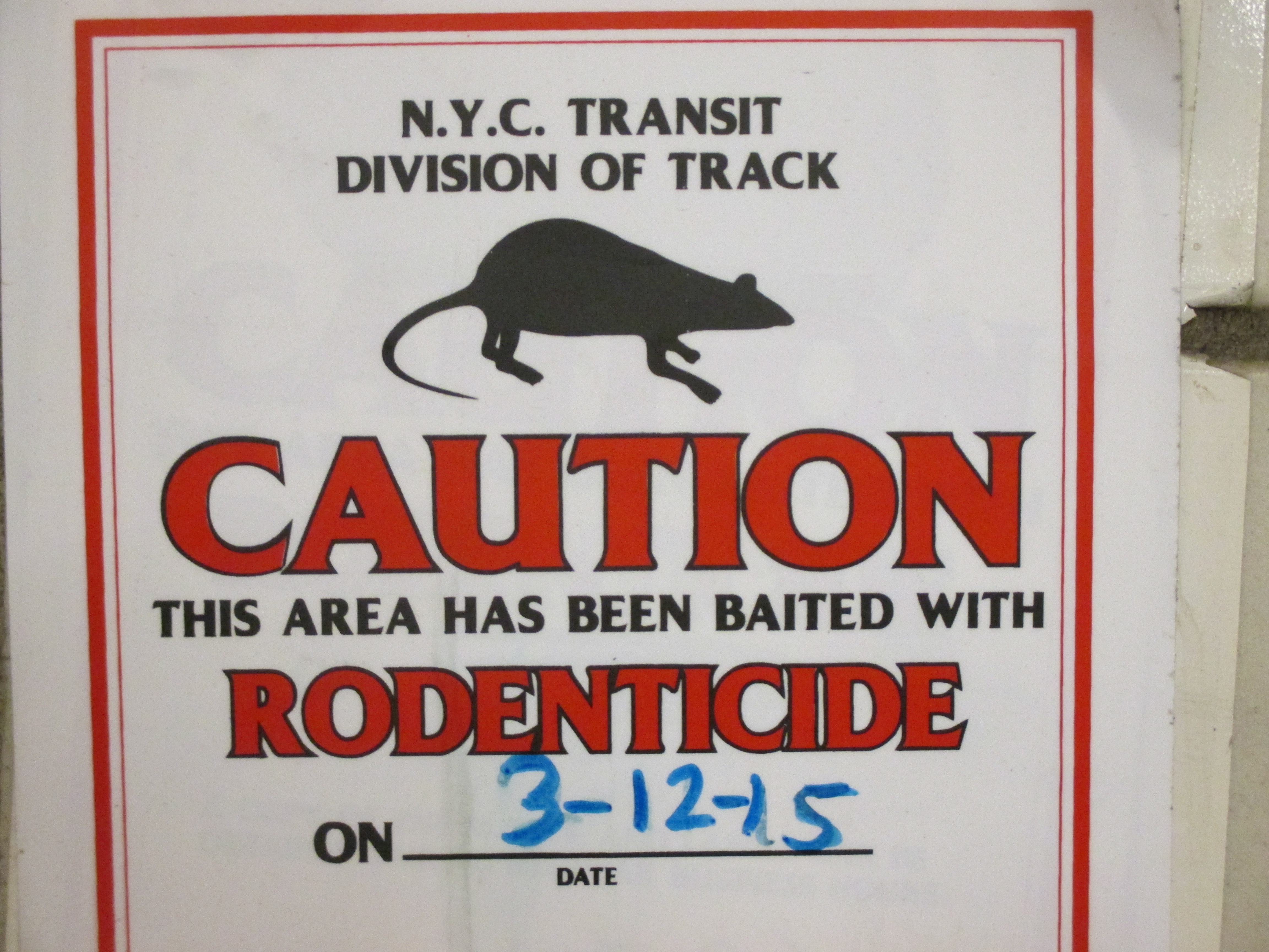 rats in the walls rodenticide